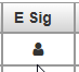 Icon of a person silhouette shown under a table cell labeled ‘E Sig.